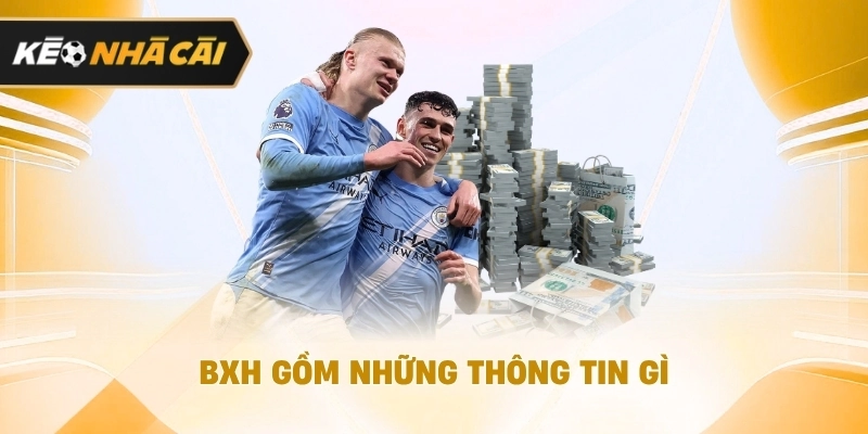 Ở góc nhìn tổng thể, bXH gồm những thông tin gì? nên biết 