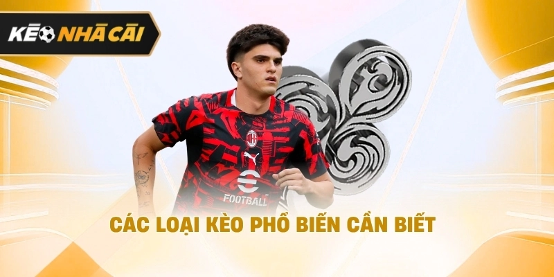 Các loại kèo phổ biến cần biết nên tham khảo 