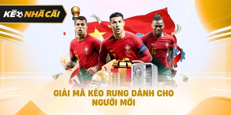 Xét trên thực tế, giải mã kèo rung dành cho người mới đáng chú ý 