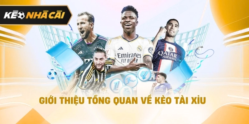 Xét trên thực tế, giới thiệu tổng quan về kèo tài xỉu cần biết 