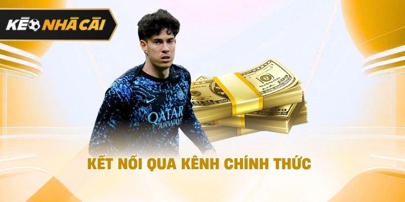 Kết nối qua kênh chính thức nên tham khảo 