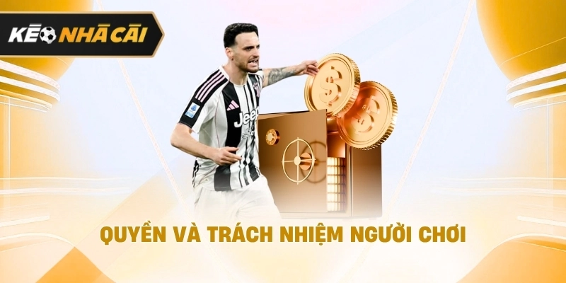 Trong bối cảnh hiện tại, tìm hiểu về miễn trừ trách nhiệm được cập nhật 